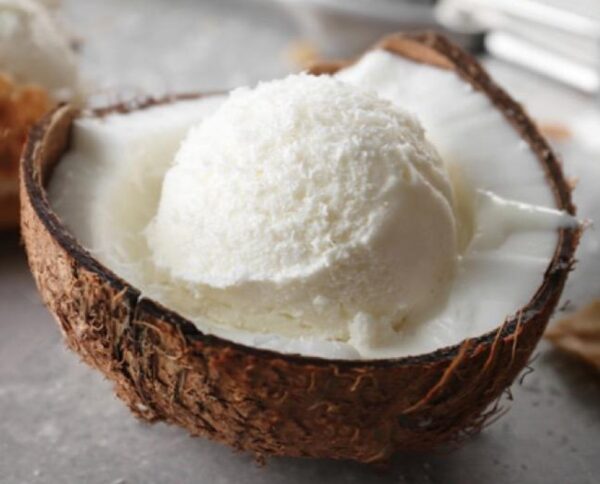 NOIX DE COCO SORBET / POT DISPONIBLE EN 3 FORMATS
