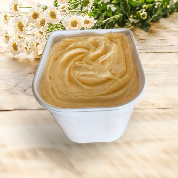 MELON SORBET 2.5L (ECO PREMIUM ARTISANAL)