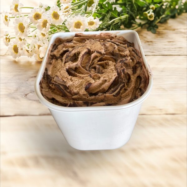 NUTELA CREME GLACEE 2.5L (ECO PREMIUM ARTISANAL)