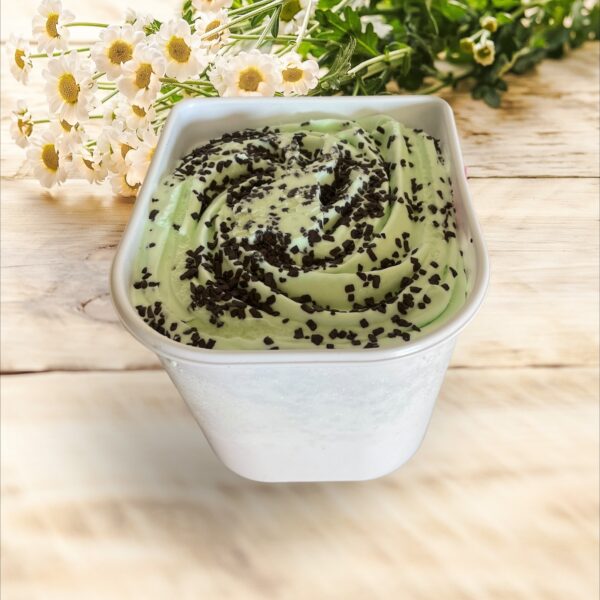 MENTHE CHOCOLAT CREME GLACEE 2.5L (ECO PREMIUM ARTISANAL)