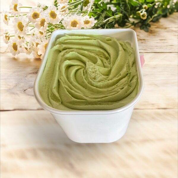 PISTACHE CREME GLACEE 2.5L (ECO PREMIUM ARTISANAL)