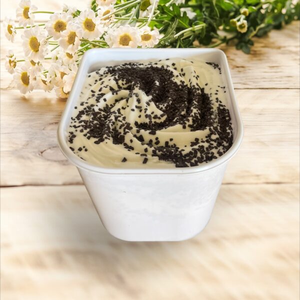 STRACCIATELLA CREME GLACEE 2.5L (ECO PREMIUM ARTISANAL)